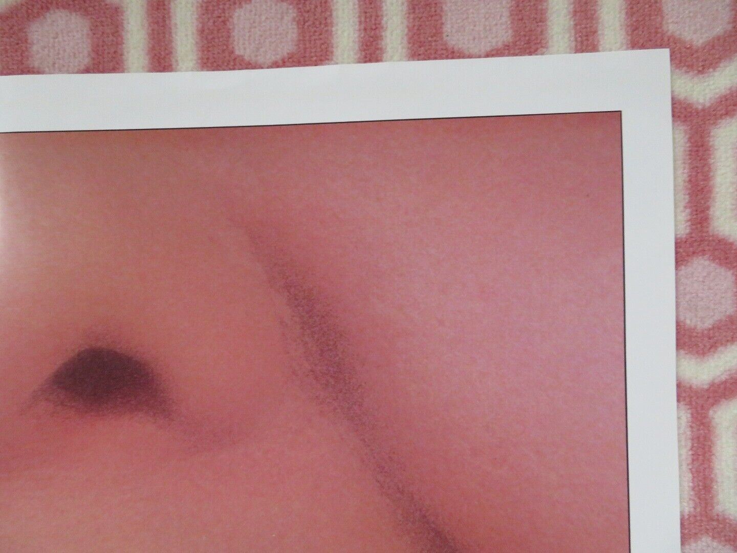 EAT & RUN FOLDED US ONE SHEET POSTER RON SILVER SHARON SCHLARTH 1986 Movie posters