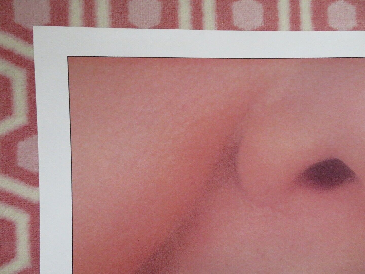 EAT & RUN FOLDED US ONE SHEET POSTER RON SILVER SHARON SCHLARTH 1986 Movie posters