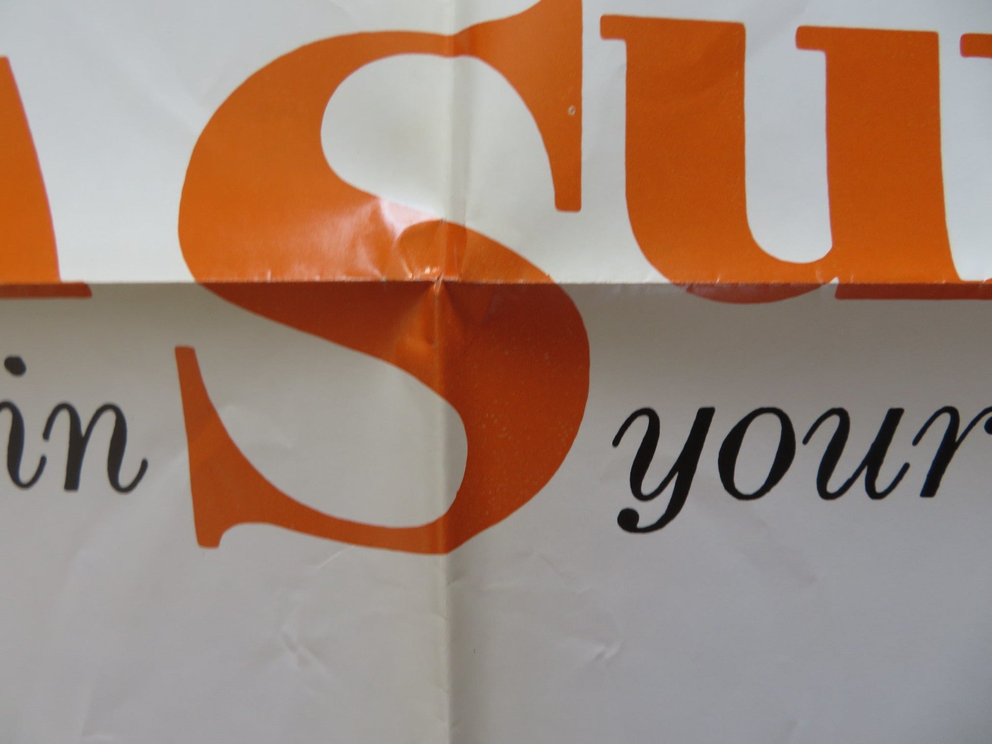 ECHOES OF A SUMMER FOLDED US ONE SHEET POSTER RICHARD HARRIS LOIS NETTLETON 1976 Rendezvous Cinema Movie posters