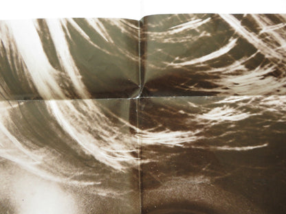 ECHOES OF A SUMMER FOLDED US ONE SHEET POSTER RICHARD HARRIS LOIS NETTLETON 1976 Rendezvous Cinema Movie posters