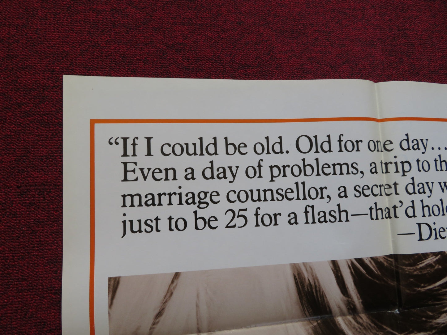 ECHOES OF A SUMMER FOLDED US ONE SHEET POSTER RICHARD HARRIS LOIS NETTLETON 1976 Rendezvous Cinema Movie posters