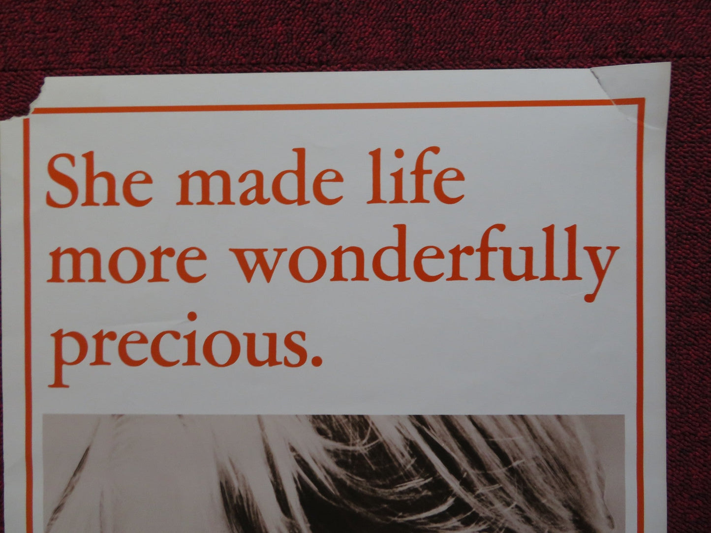 ECHOES OF A SUMMER US INSERT (14"x 36") POSTER RICHARD HARRIS L. NETTLETON 1976 Rendezvous Cinema Movie posters