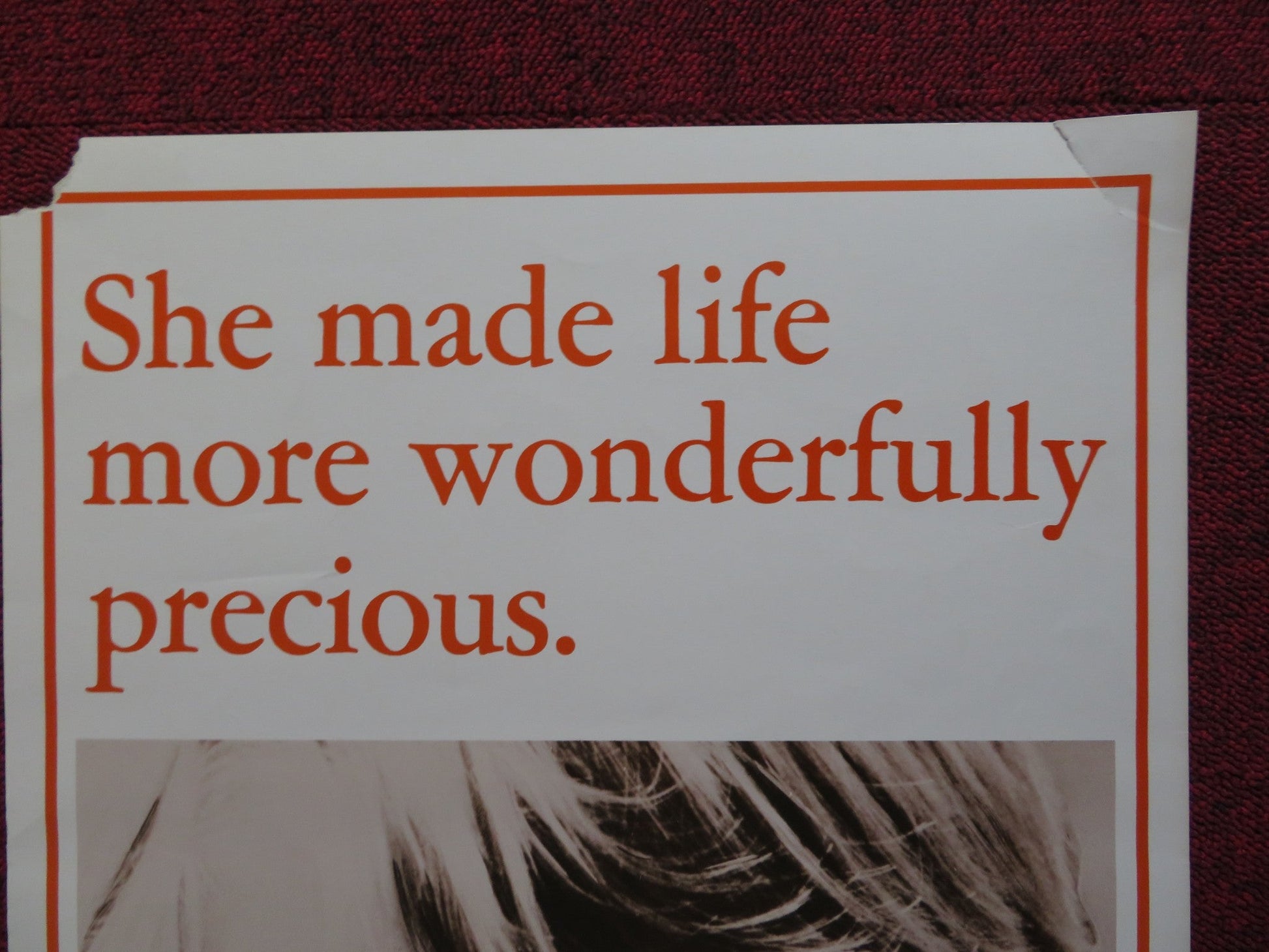 ECHOES OF A SUMMER US INSERT (14"x 36") POSTER RICHARD HARRIS L. NETTLETON 1976 Rendezvous Cinema Movie posters