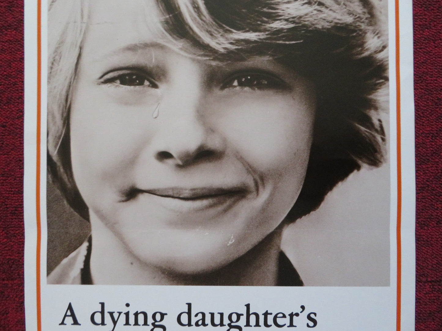 ECHOES OF A SUMMER US INSERT (14"x 36") POSTER RICHARD HARRIS L. NETTLETON 1976 Rendezvous Cinema Movie posters