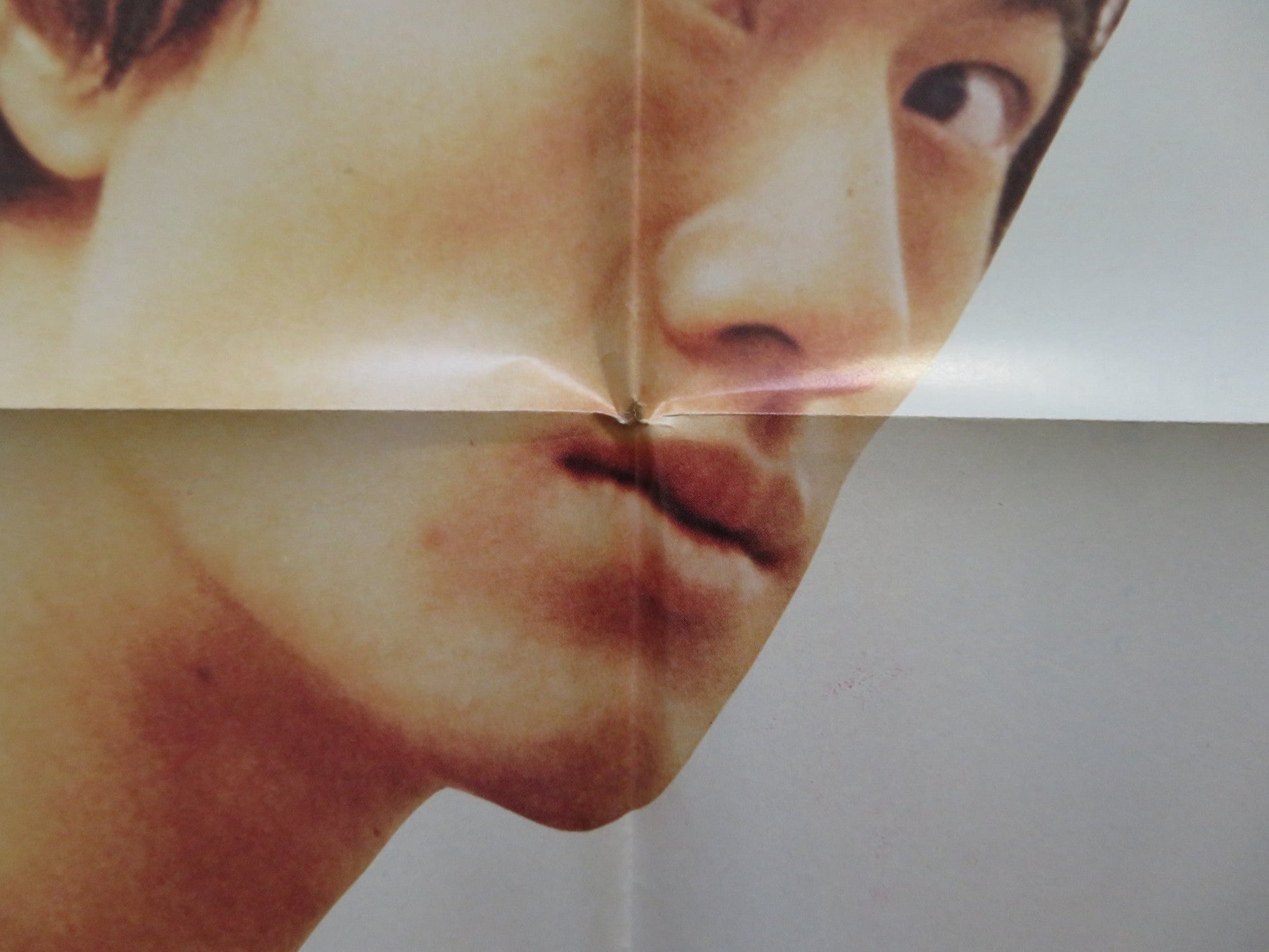 EDGE OF FURY FOLDED US ONE SHEET POSTER BRUCE LI KUNG FU ANDREW SAGE 1978 Rendezvous Cinema Movie posters