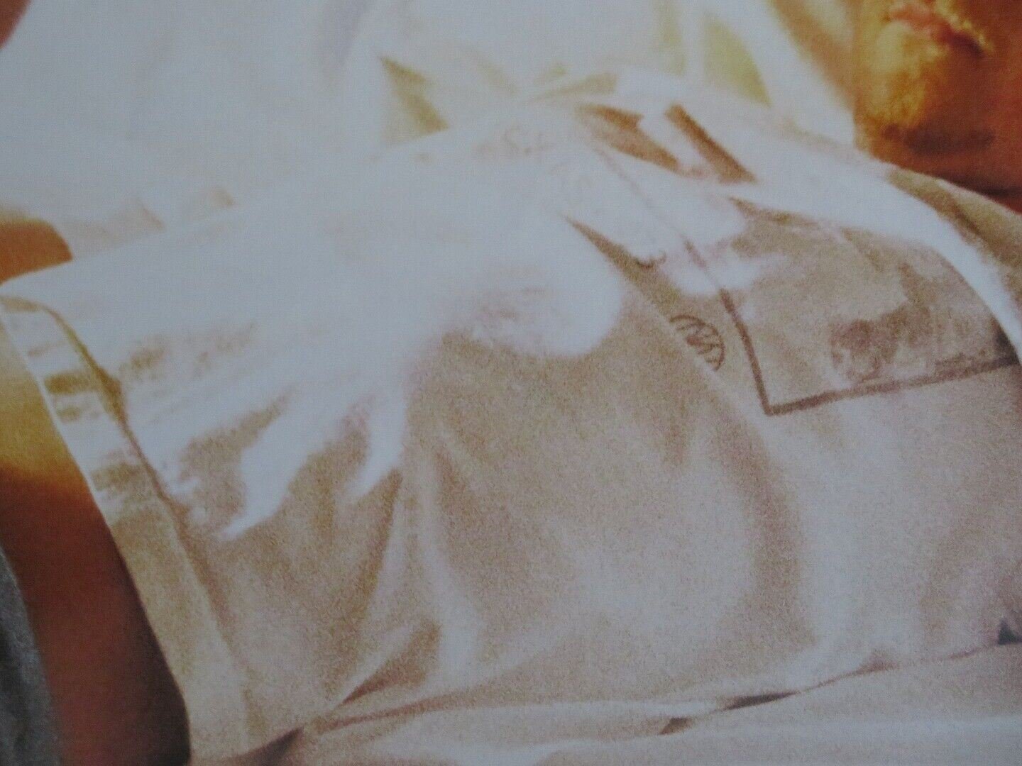 EDTV US ONE SHEET ROLLED POSTER MATTHEW MCCONAUGHEY GEOFFREY BLAKE 1999 Movie posters