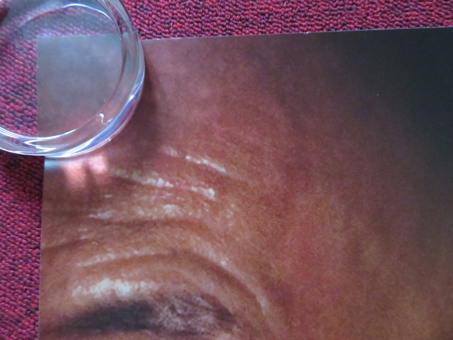 ELEGY UK QUAD (30"x 40") ROLLED POSTER PENELOPE CRUZ BEN KINGSLEY 2008 Rendezvous Cinema Movie posters