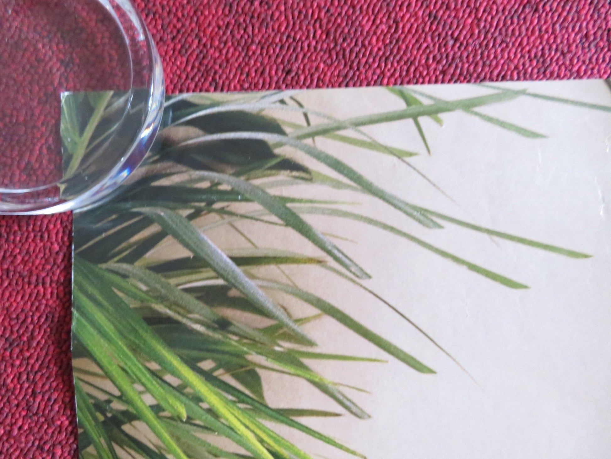 ELIZABETHTOWN US ONE SHEET ROLLED POSTER ORLANDO BLOOM KIRSTEN DUNST 2005 Rendezvous Cinema Movie posters