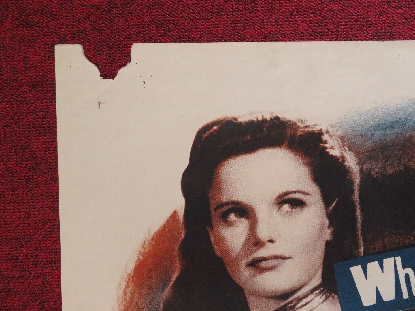 EMBRACABLE YOU FOLDED US ONE SHEET POSTER DANE CLARK GERALDINE BROOKS 1948 Movie posters