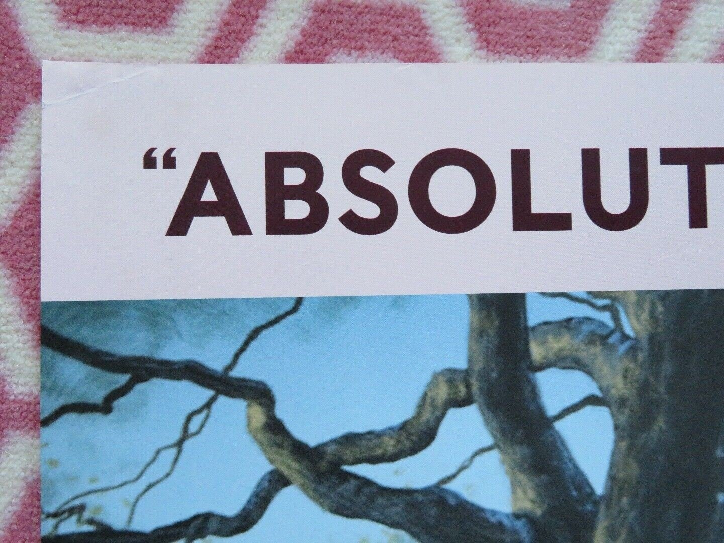 EMMA QUAD (30"x 40") ROLLED POSTER JANE AUSTEN BILL NIGHY MIRANDA HART 2020 Movie posters