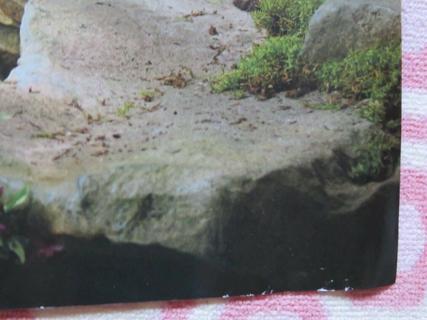 EMMA QUAD (30"x 40") ROLLED POSTER JANE AUSTEN BILL NIGHY MIRANDA HART 2020 Movie posters