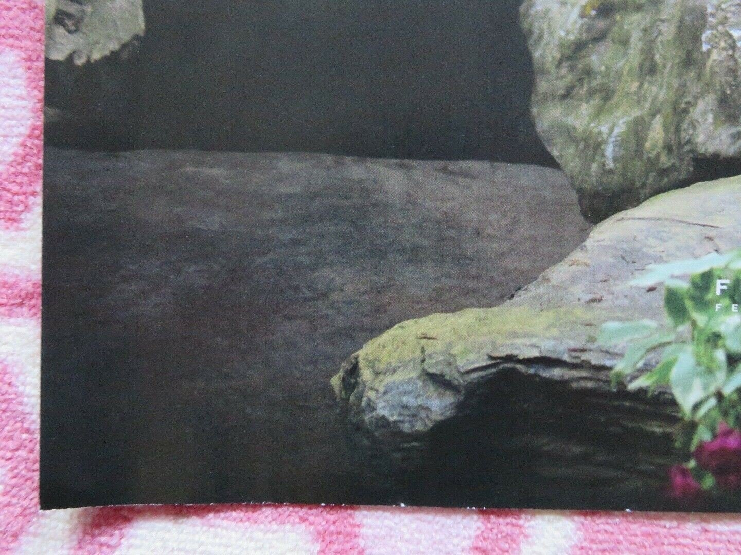 EMMA QUAD (30"x 40") ROLLED POSTER JANE AUSTEN BILL NIGHY MIRANDA HART 2020 Movie posters