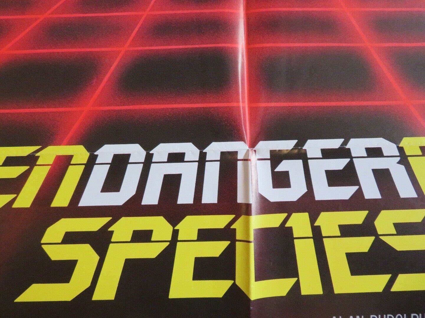 ENDANGERED SPECIES US ONE SHEET POSTER ROBERT URICH JOBETH WILLIAMS 1982 Movie posters