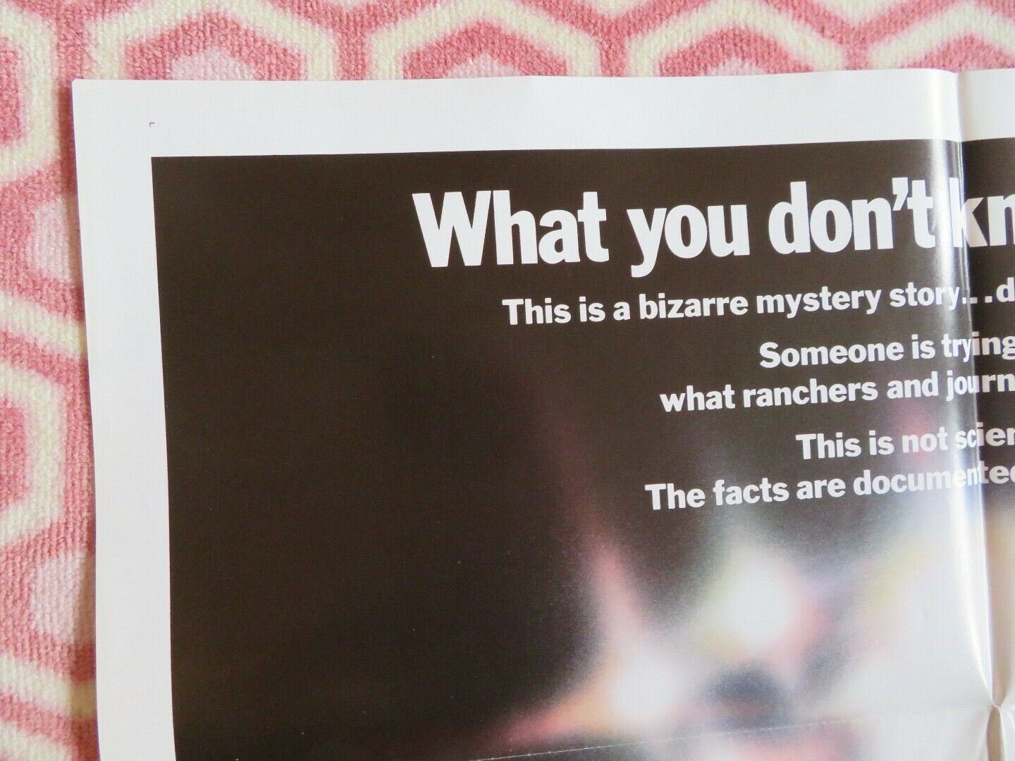 ENDANGERED SPECIES US ONE SHEET POSTER ROBERT URICH JOBETH WILLIAMS 1982 Movie posters