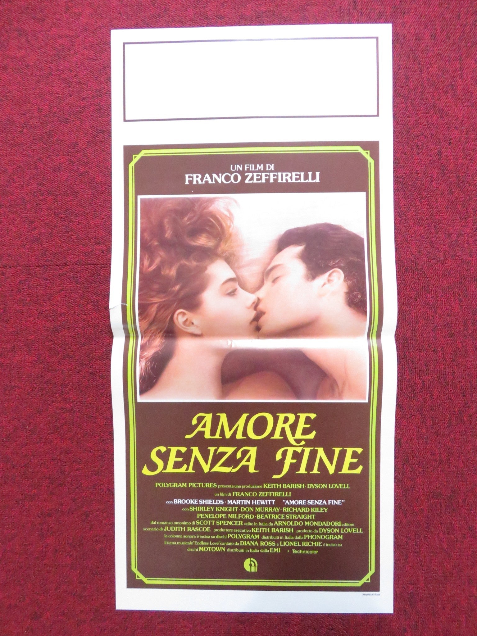 ENDLESS LOVE ITALIAN LOCANDINA POSTER BROOKE SHIELDS MARTIN HEWITT 1981 Rendezvous Cinema Movie posters