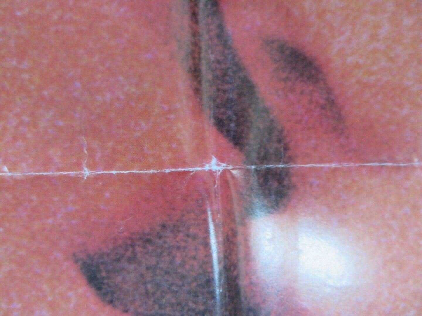 ENDLESS LOVE US ONE SHEET POSTER SHIRLEY KNIGHT DON MURRAY 1981 Movie posters