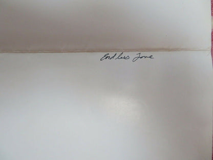 ENDLESS LOVE US ONE SHEET POSTER SHIRLEY KNIGHT DON MURRAY 1981 Movie posters