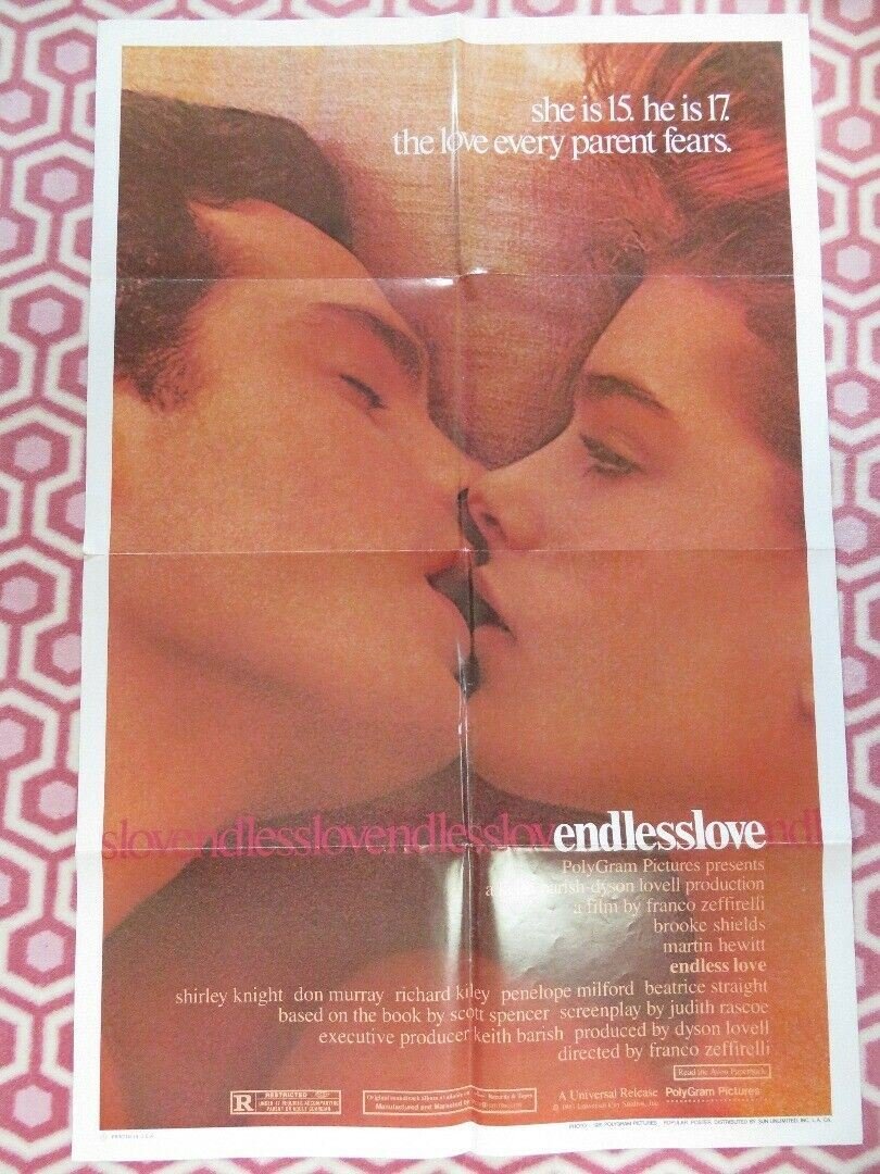 ENDLESS LOVE US ONE SHEET POSTER SHIRLEY KNIGHT DON MURRAY 1981 Movie posters