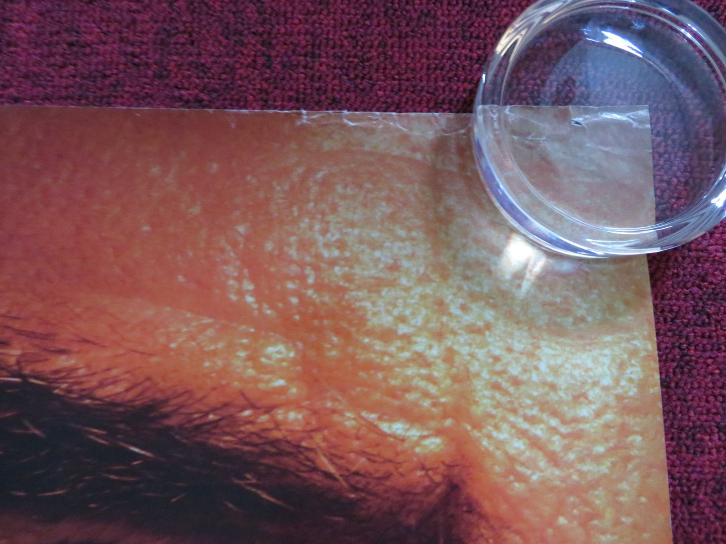 ENTRAPMENT UK QUAD (30"x 40") ROLLED POSTER SEAN CONNERY C. ZETA - JONES 1999 Rendezvous Cinema Movie posters