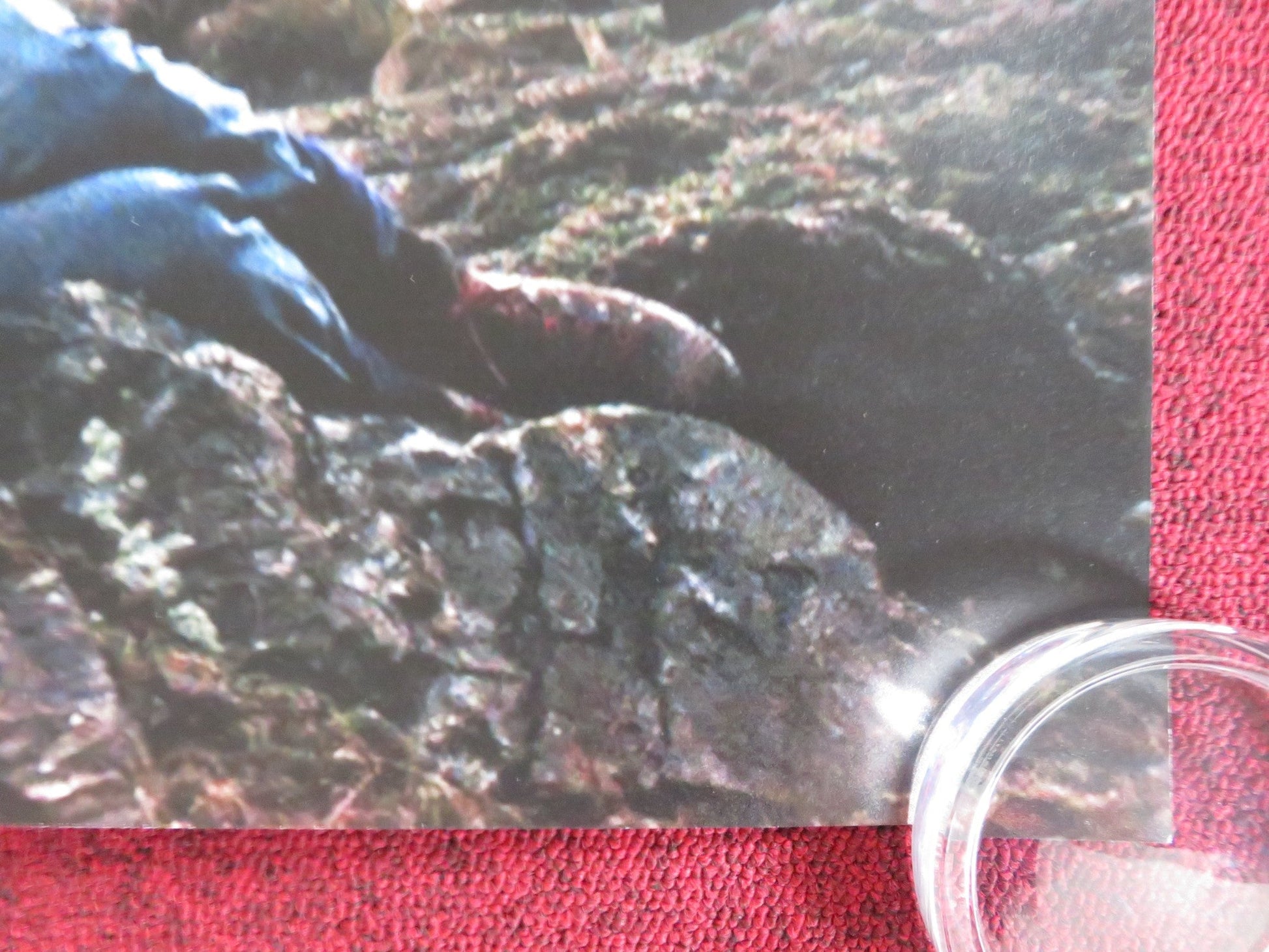 ENYS MEN US ONE SHEET ROLLED POSTER MARY WOODVINE EDWARD ROWE 2022 Rendezvous Cinema Movie posters