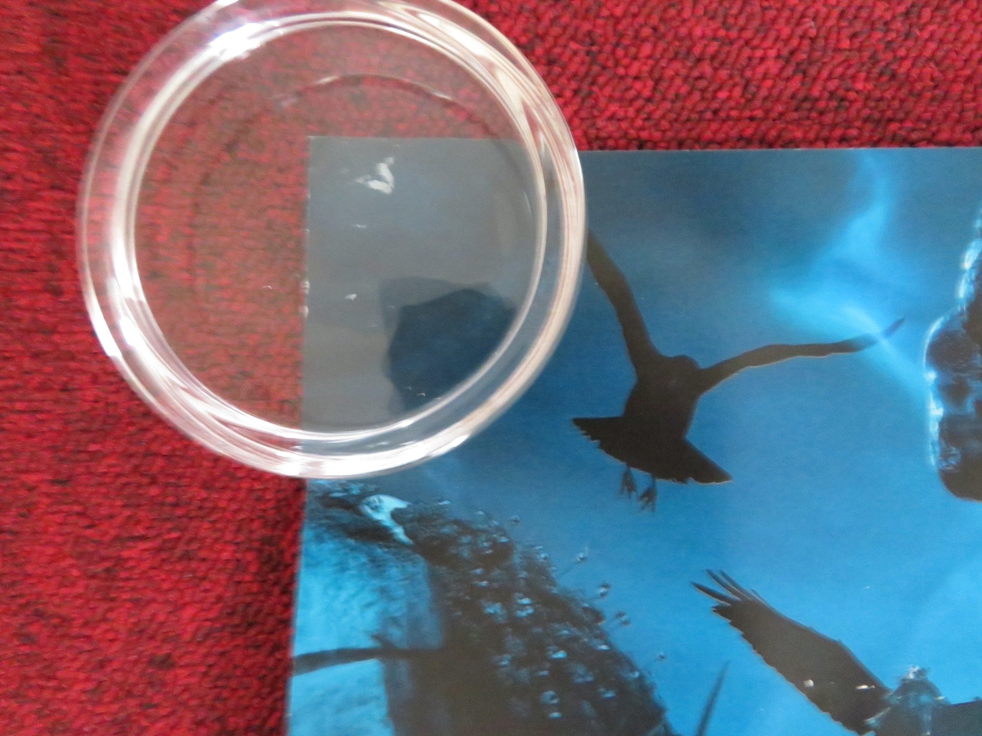 EPIC UK QUAD (30"x 40") ROLLED POSTER BLAKE ANDERSON AZIZ ANSARI 2013 Rendezvous Cinema Movie posters