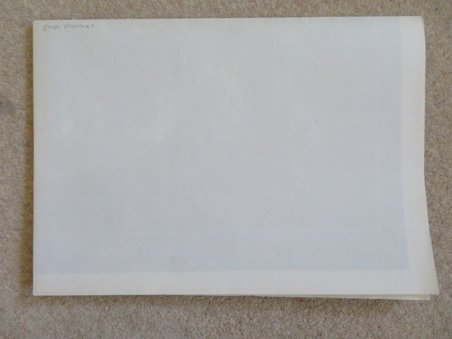 ERIC THE VIKING ITALIAN 2 FOGLIO POSTER TIM ROBBINS MICKEY ROONEY 1989 Rendezvous Cinema Movie posters