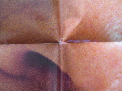 ERNEST RIDES AGAIN FOLDED US ONE SHEET POSTER JIM VARNEY RON K. JAMES 1993 Rendezvous Cinema Movie posters