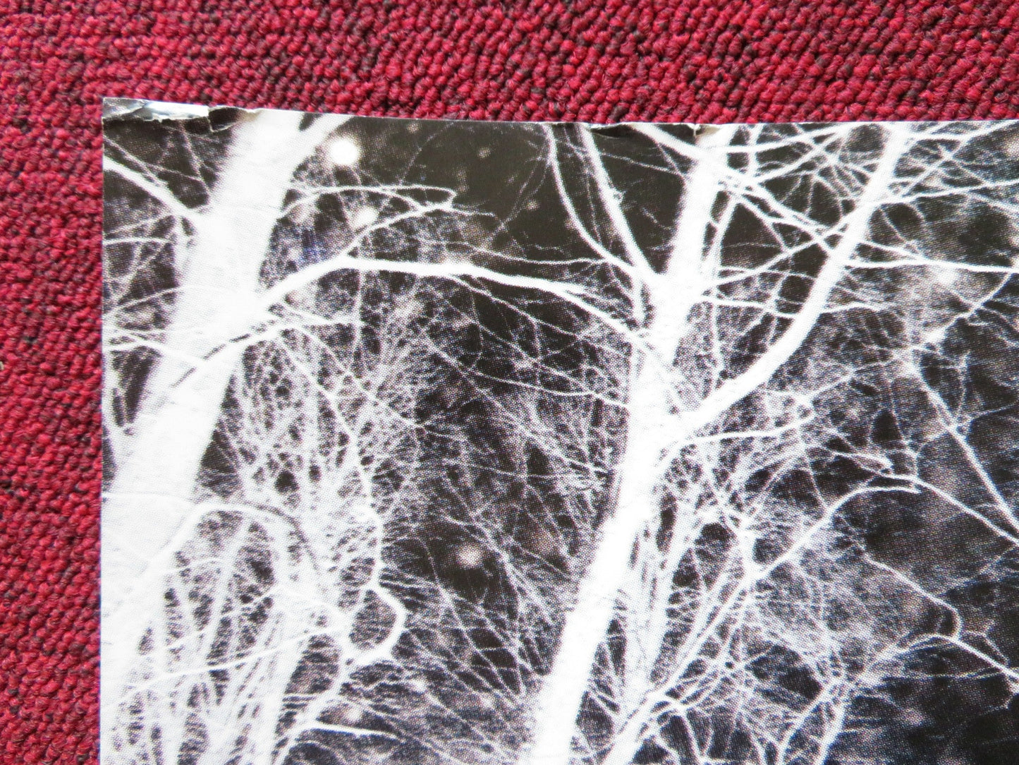 ESSENTIAL KILLING UK QUAD POSTER FOLDED VINCENT GALLLO 2010 Rendezvous Cinema Movie posters