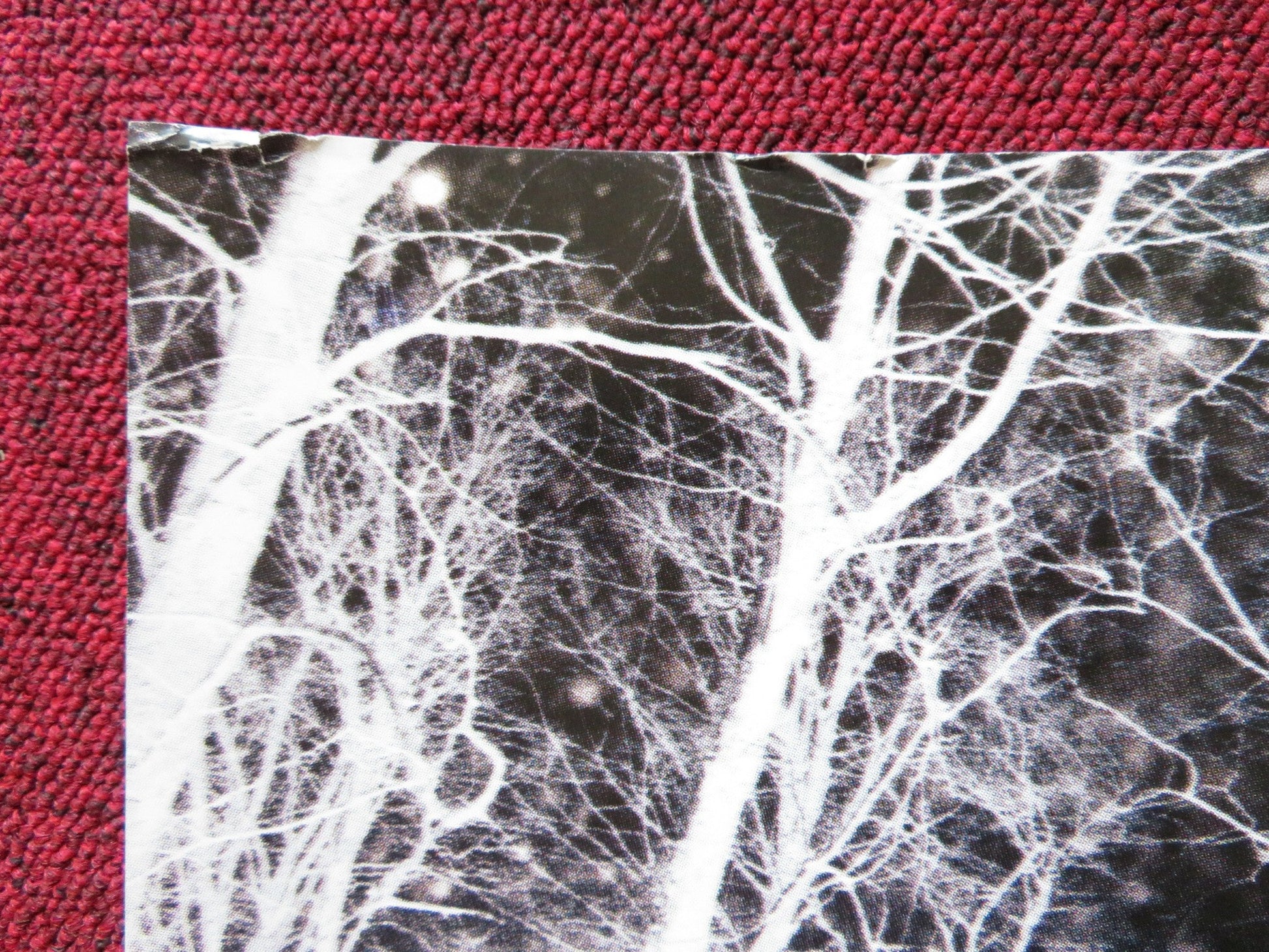 ESSENTIAL KILLING UK QUAD POSTER FOLDED VINCENT GALLLO 2010 Rendezvous Cinema Movie posters