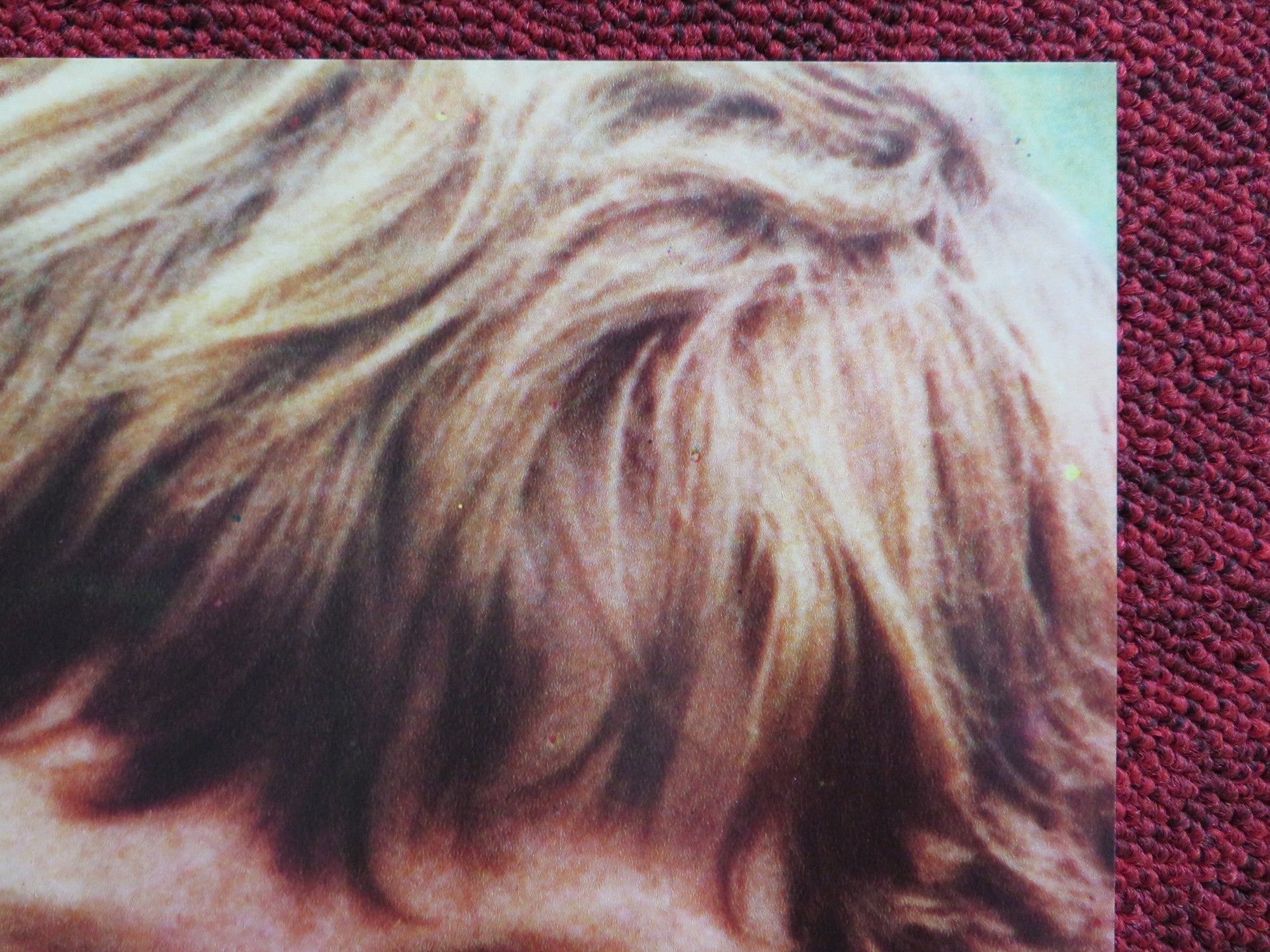 EUGENIO - A ITALIAN FOTOBUSTA POSTER FRANCESCO BONELLI SAVERIO MARCONI 1980 Rendezvous Cinema Movie posters