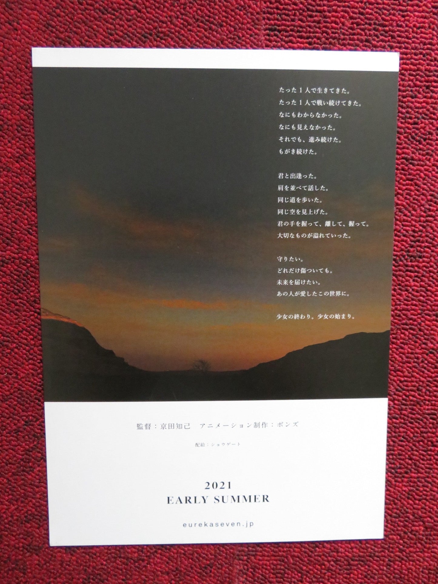 EUREKA JAPANESE CHIRASHI (B5) POSTER YING YUE JOYCE CHONG 2021 Rendezvous Cinema Movie posters