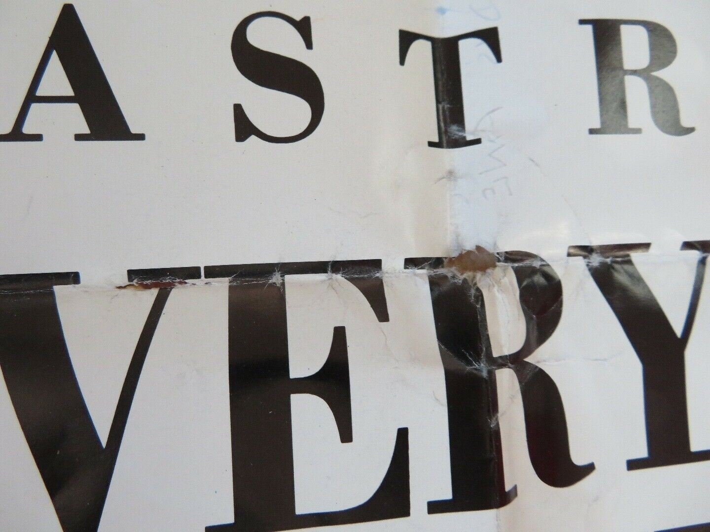 EVERYBODY'S FINE BRITISH QUAD (30" x 40") POSTER MARCELLO MASTROIANNI - Rendezvous Cinema