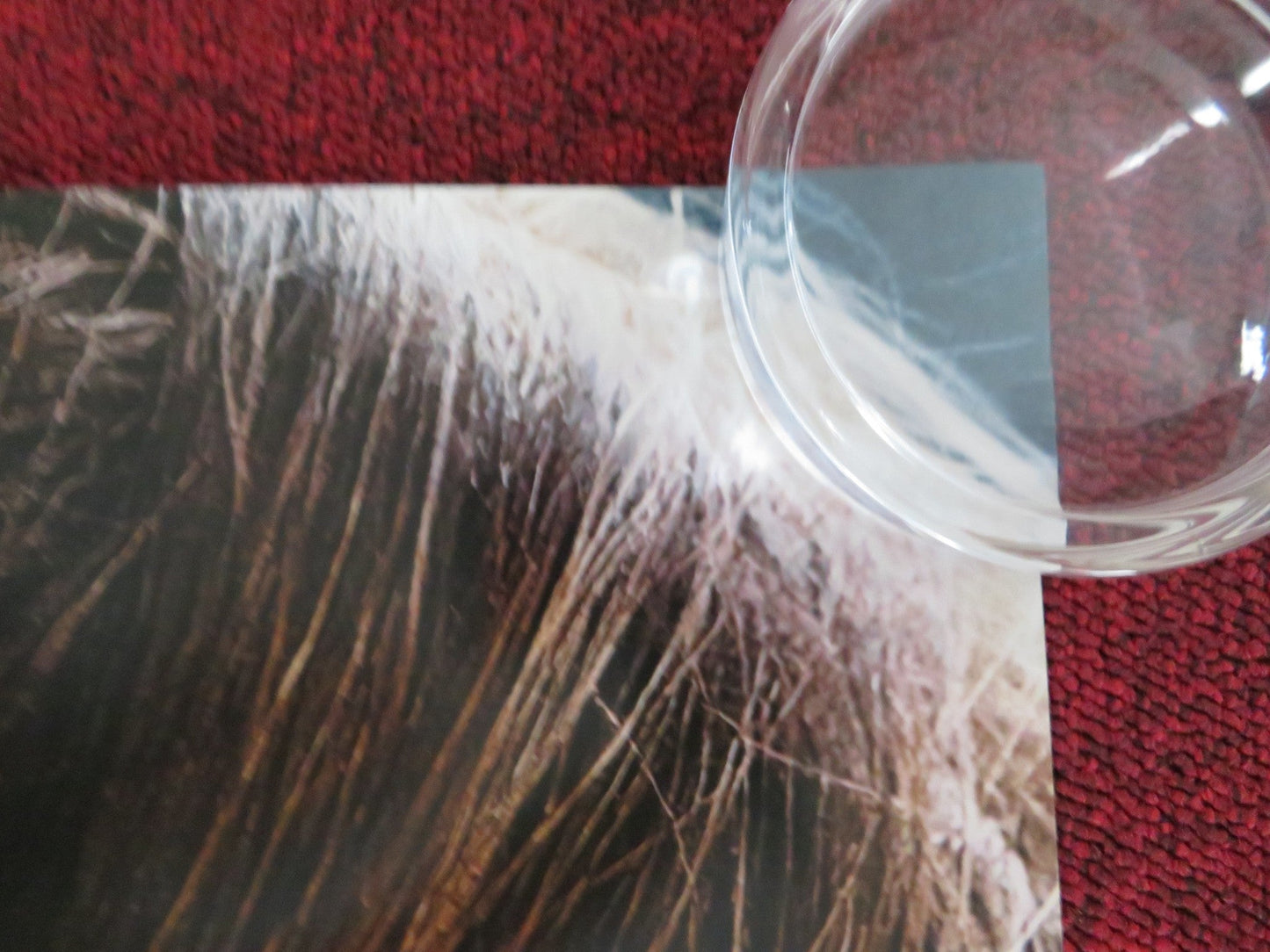 EVERYTHING WENT FINE US ONE SHEET ROLLED POSTER SOPHIE MARCEAU 2021 Rendezvous Cinema Movie posters