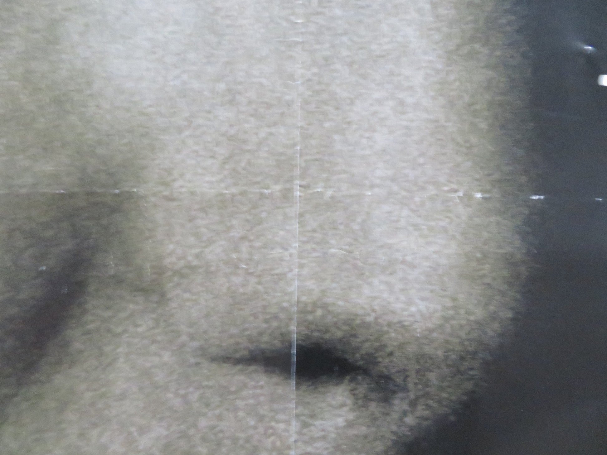 EYE OF THE BEHOLDER UK QUAD (30"x 40") ROLLED POSTER EWAN MCGREGOR 1999 Rendezvous Cinema Movie posters