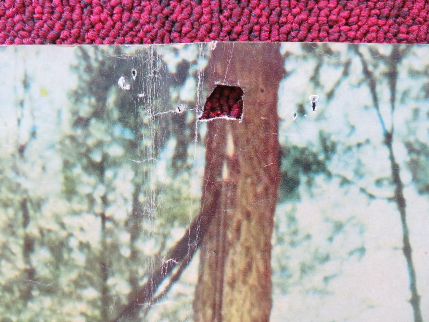 FALL OF THE MOHICANS - C ITALIAN FOTOBUSTA POSTER JACK TAYLOR BARBARA LOY 1965 Rendezvous Cinema Movie posters