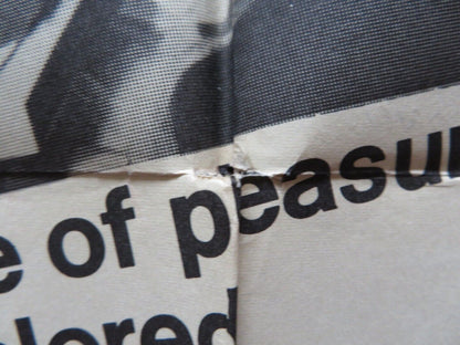 FANNY HILL FOLDED US ONE SHEET POSTER DIANA KJAER HANS ERNBACK 1968 Movie posters