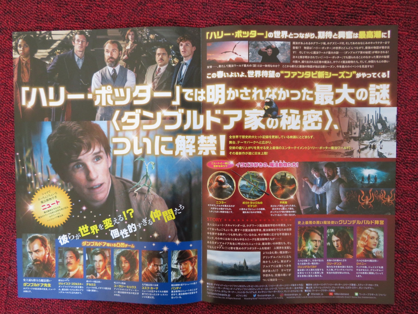 FANTASTIC BEASTS: THE SECRETS OF DUMBLEDORE JAPANESE CHIRASHI (B5) POSTER 2022 Rendezvous Cinema Movie posters