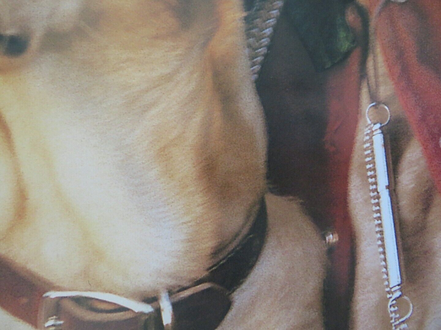 FAR FROM HOME THE ADVENTURES OF YELLOW DOG - A US ONE SHEET ROLLED POSTER 1995 Movie posters