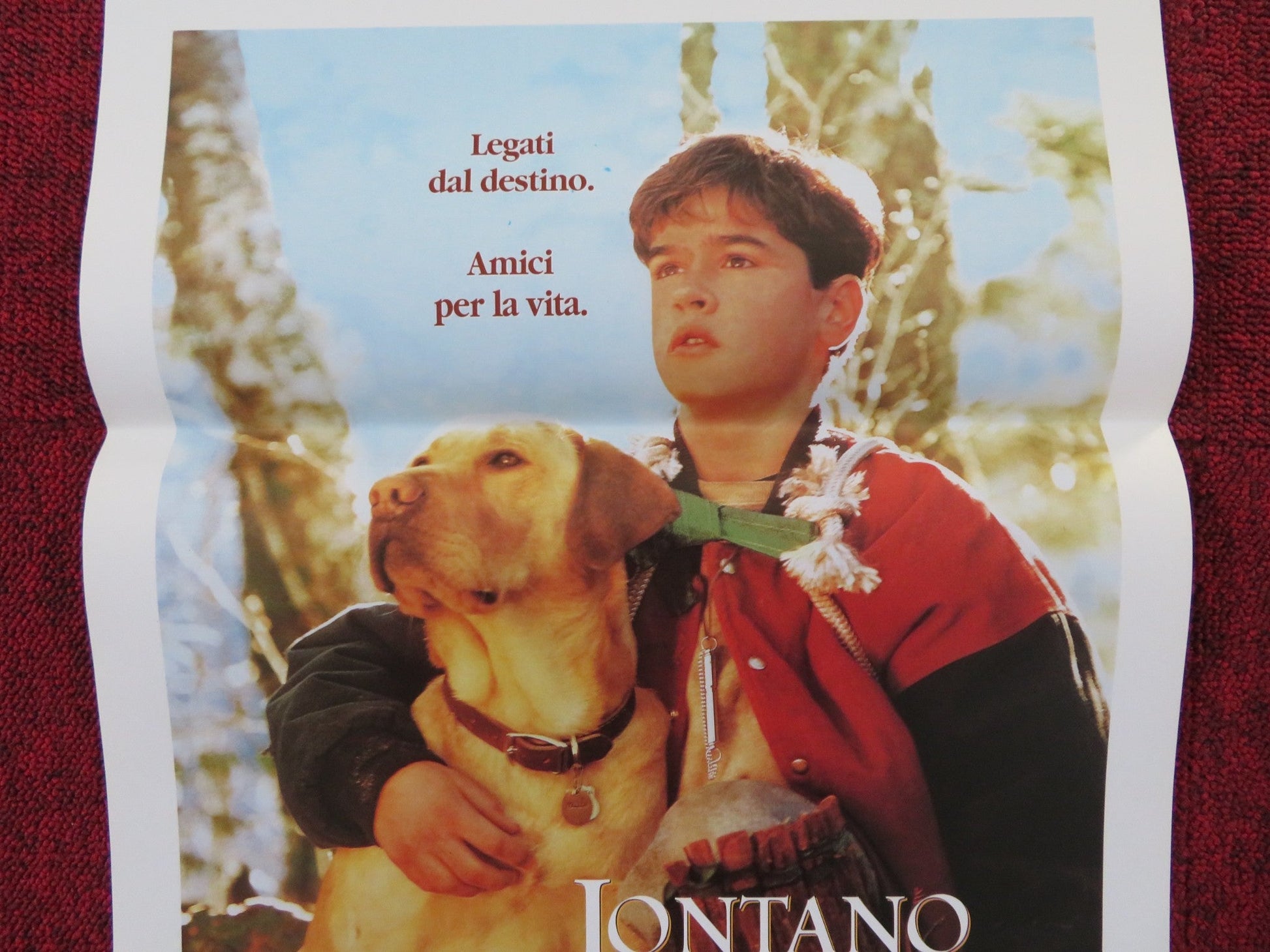 FAR FROM HOME: THE ADVENTURES OF YELLOW DOG ITALIAN LOCANDINA POSTER 1995 Rendezvous Cinema Movie posters