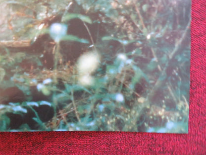 FAR FROM HOME: THE ADVENTURES OF YELLOW DOG UK QUAD POSTER FOLDED J.BRADFORD '94 Rendezvous Cinema Movie posters