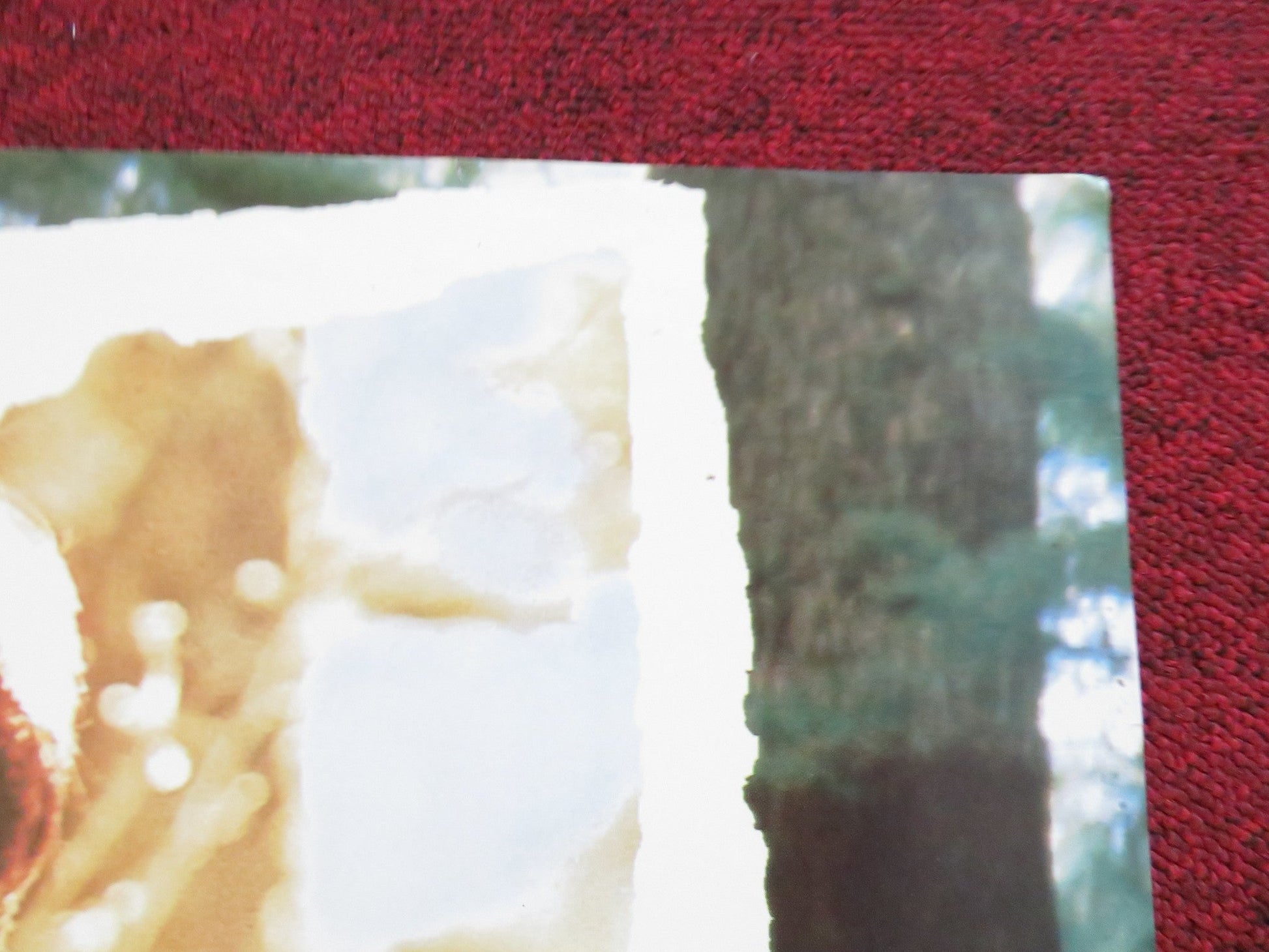 FAR FROM HOME: THE ADVENTURES OF YELLOW DOG UK QUAD POSTER FOLDED J.BRADFORD '94 Rendezvous Cinema Movie posters