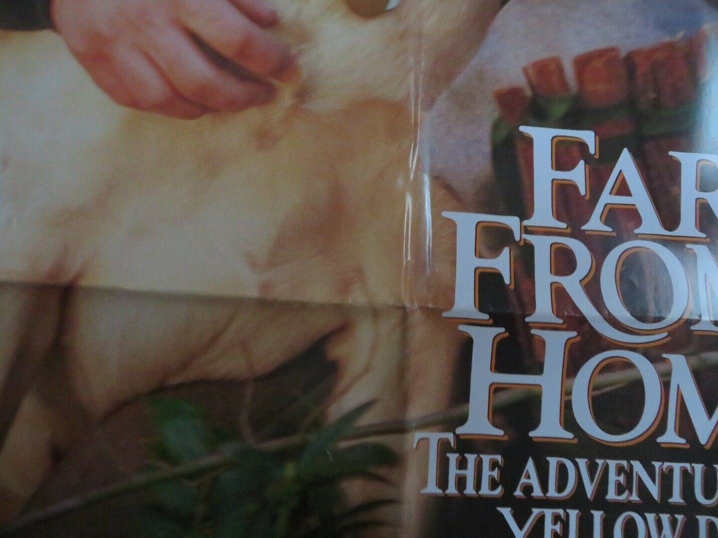 FAR FROM HOME-The Adventures of Yellow Dog VER.A US ONE SHEET POSTER - Rendezvous Cinema