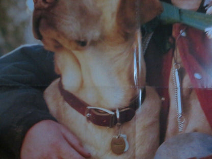 FAR FROM HOME-The Adventures of Yellow Dog VER.A US ONE SHEET POSTER - Rendezvous Cinema