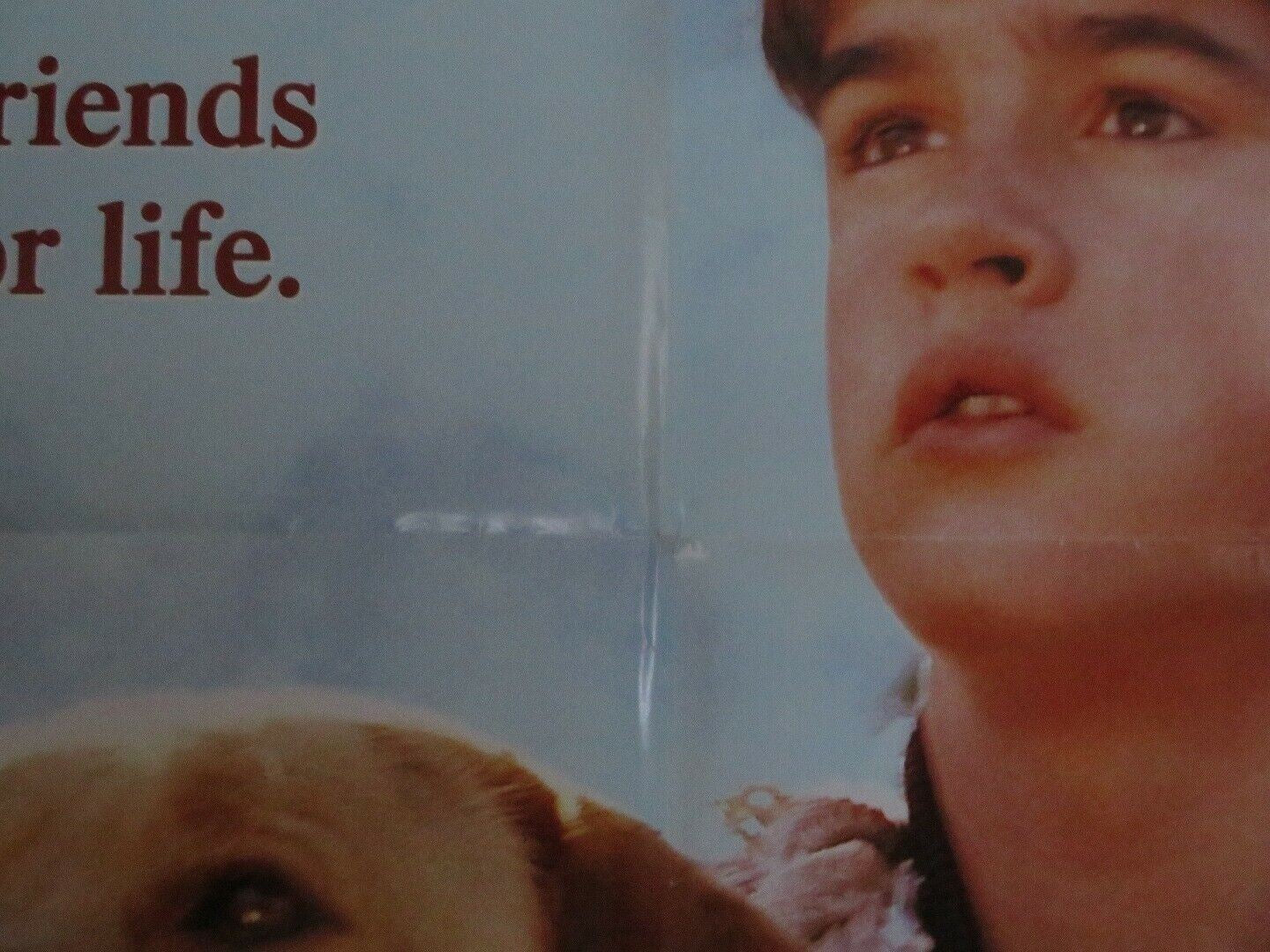 FAR FROM HOME-The Adventures of Yellow Dog VER.A US ONE SHEET POSTER - Rendezvous Cinema