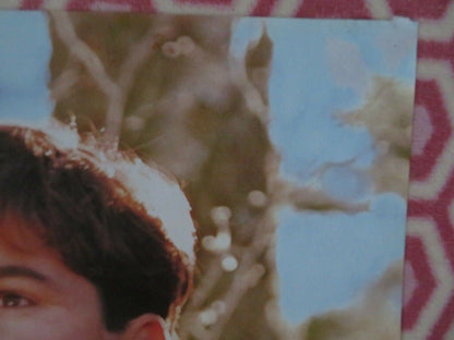 FAR FROM HOME-The Adventures of Yellow Dog VER.A US ONE SHEET POSTER - Rendezvous Cinema