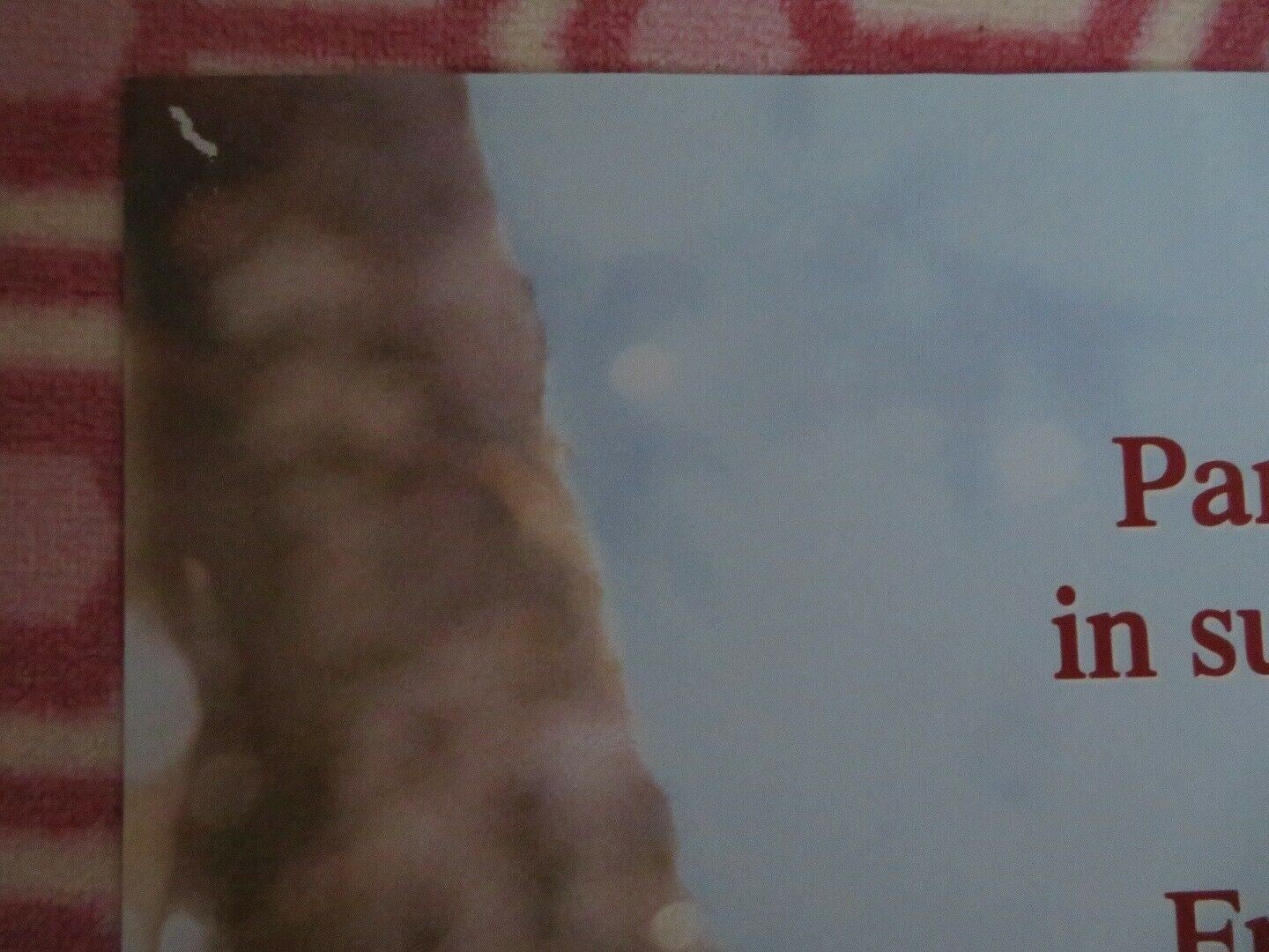 FAR FROM HOME-The Adventures of Yellow Dog VER.A US ONE SHEET POSTER - Rendezvous Cinema