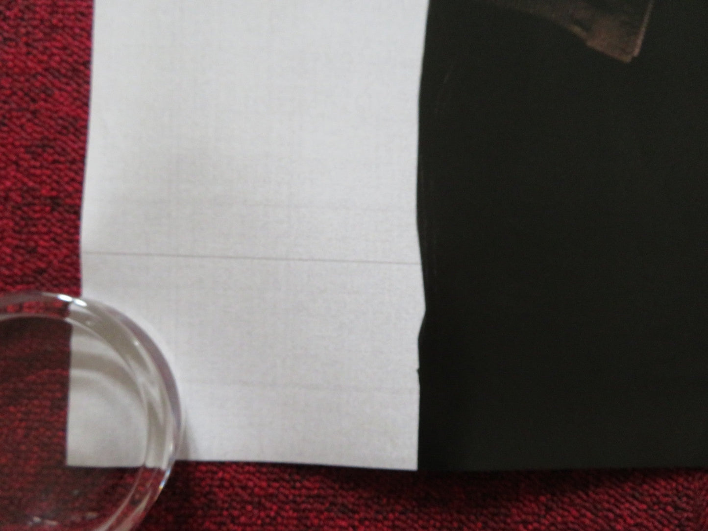 FAREWELL UK QUAD (30"x 40") ROLLED POSTER GUILLAUME CANET EMIR KUSTURICA 2009 Rendezvous Cinema Movie posters