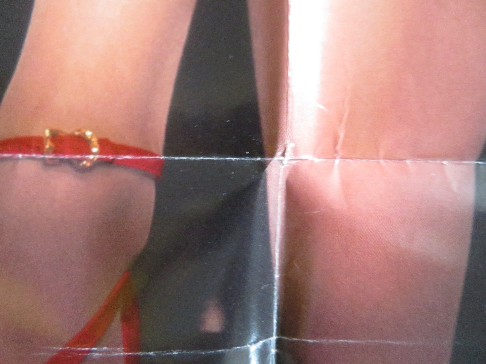 FATAL INSTINCT FOLDED US ONE SHEET POSTER SHERILYN FENN ARMAND ASSANTE 1993 Rendezvous Cinema Movie posters