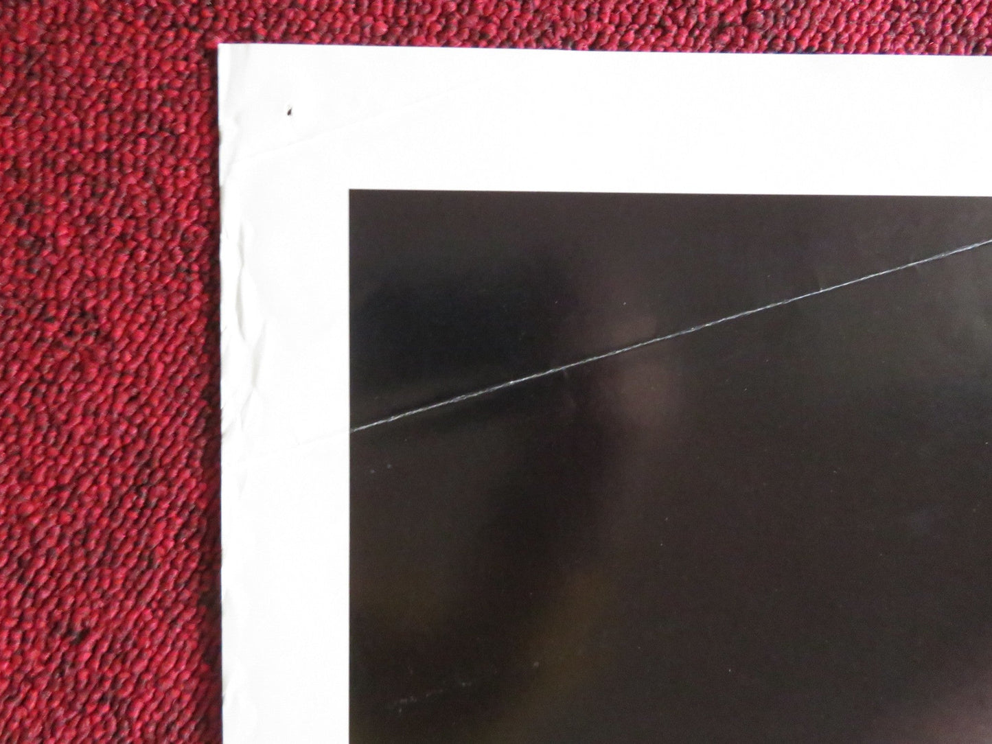 FATAL INSTINCT FOLDED US ONE SHEET POSTER SHERILYN FENN ARMAND ASSANTE 1993 Rendezvous Cinema Movie posters