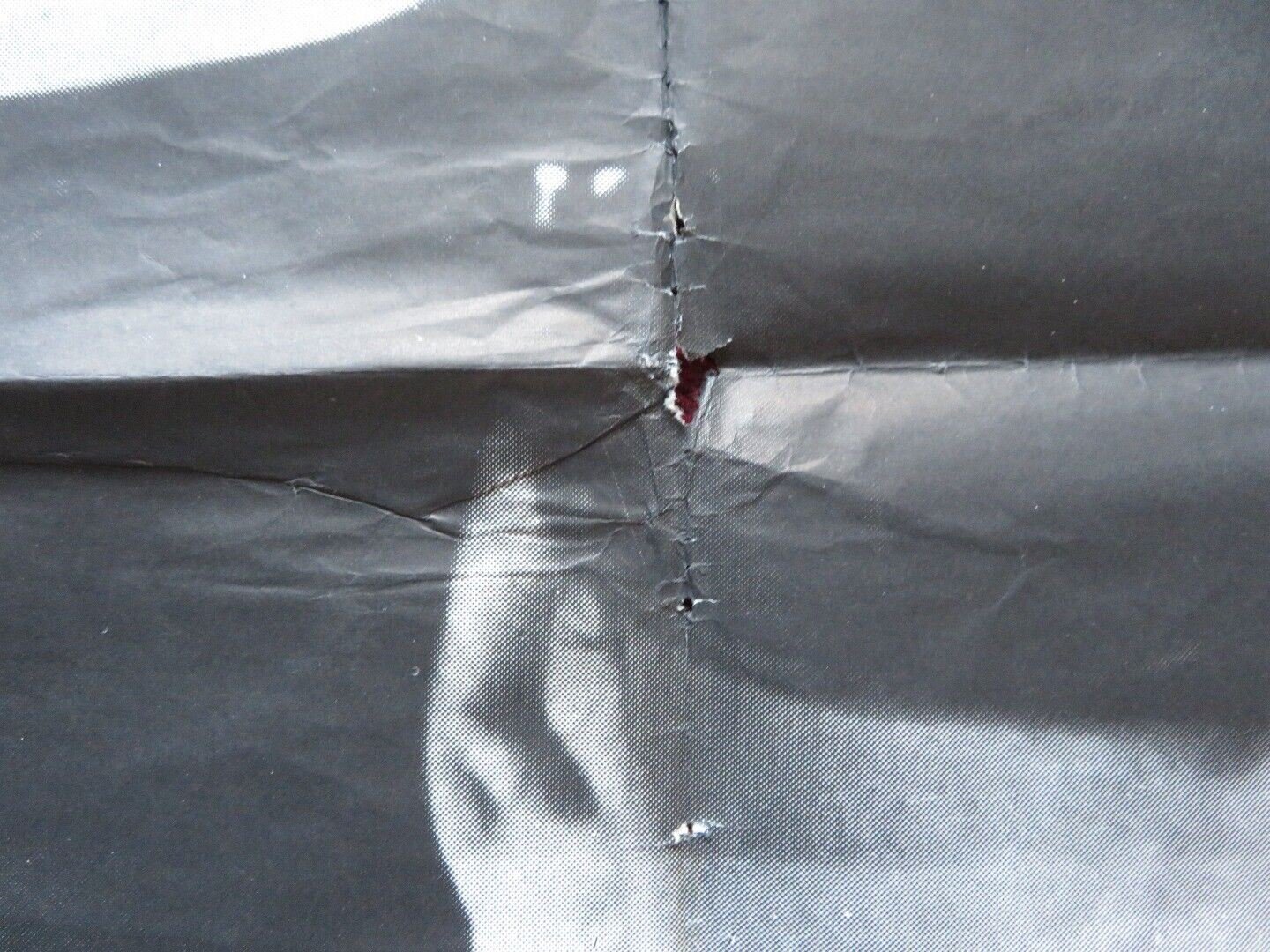 FEDORA ARGENTINA ONE SHEET POSTER WILLIAM HOLDEN MARTHE KELLER 1978 - Rendezvous Cinema